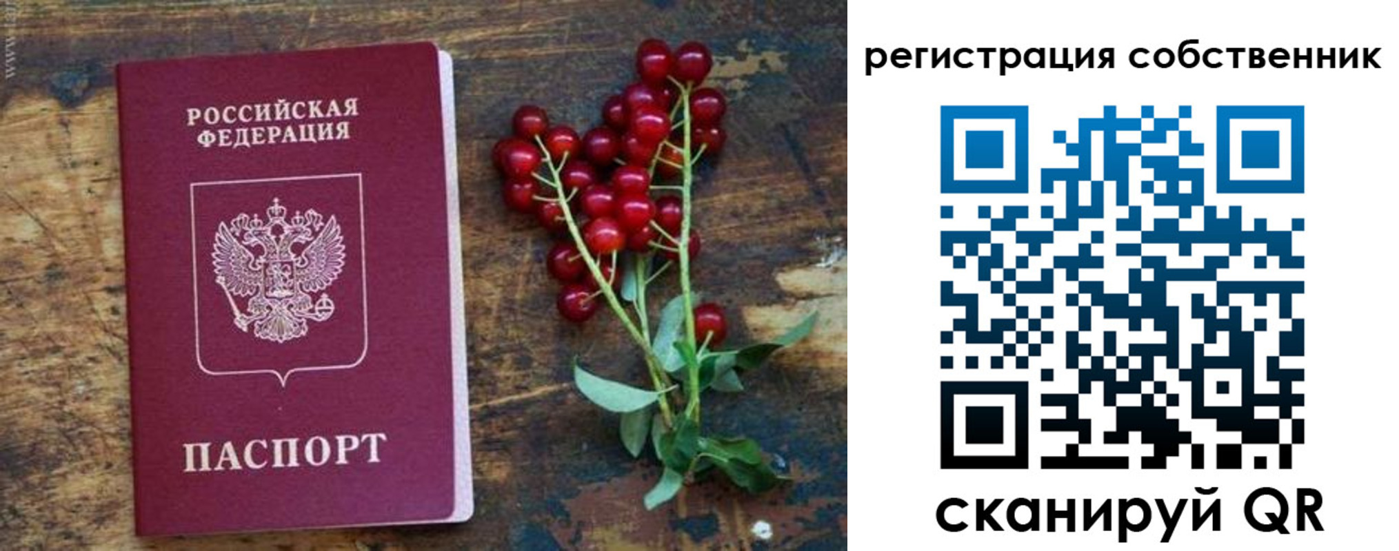 регистрация для дет. сада в Моршанске